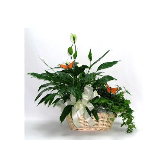 Two Plant Basket Flower Bouquet