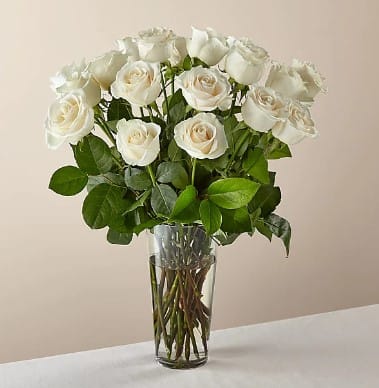 White Roses - From