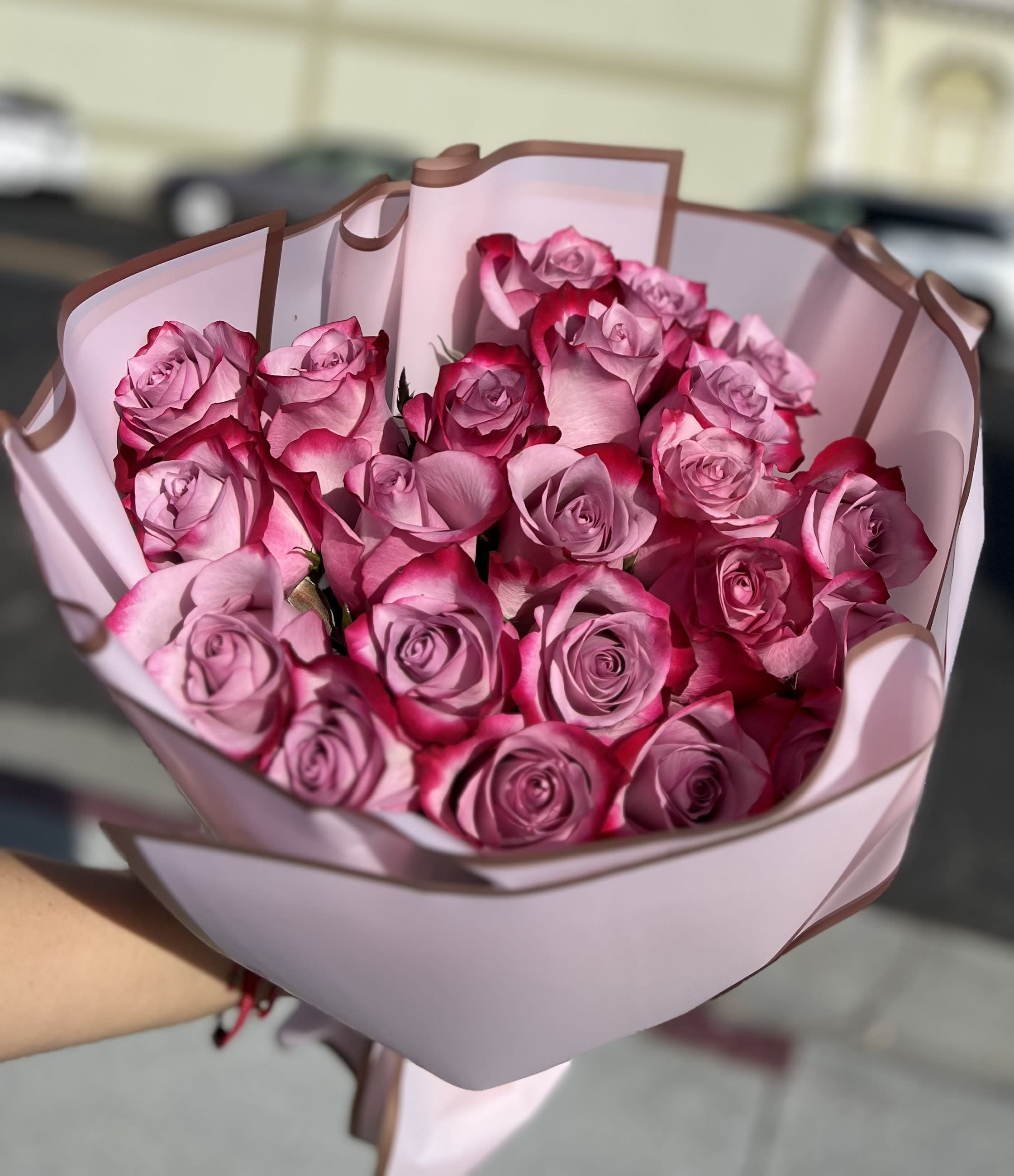 Purpura 24 Purple Roses