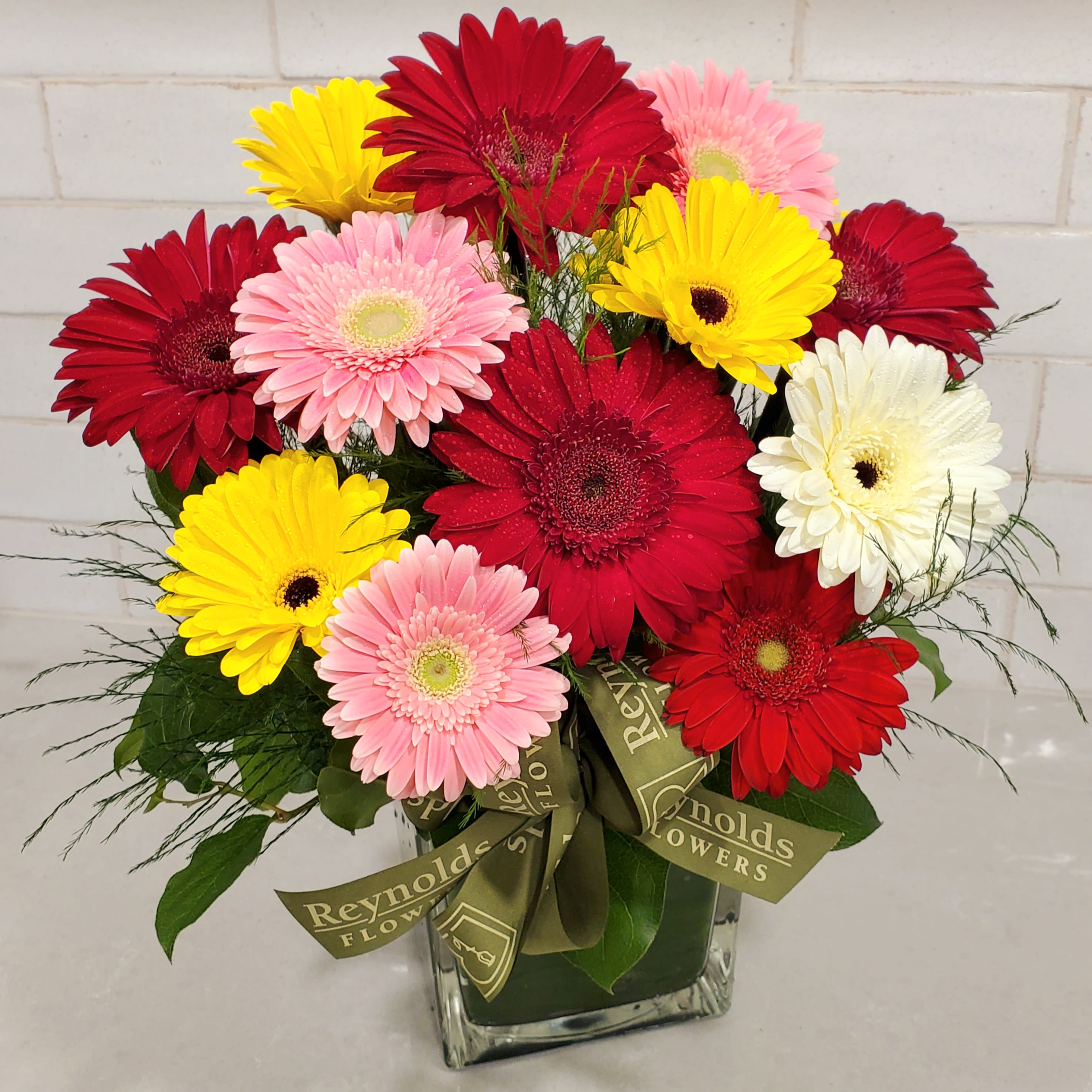 Gerbera Garden Cube