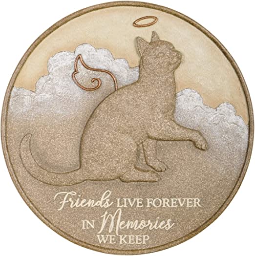 Stepping Stone - Cat Live Forever