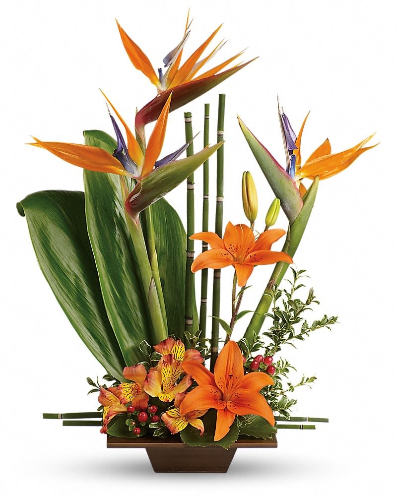 Teleflora's Exotic Grace