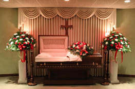 Tribute Collection EBF-707