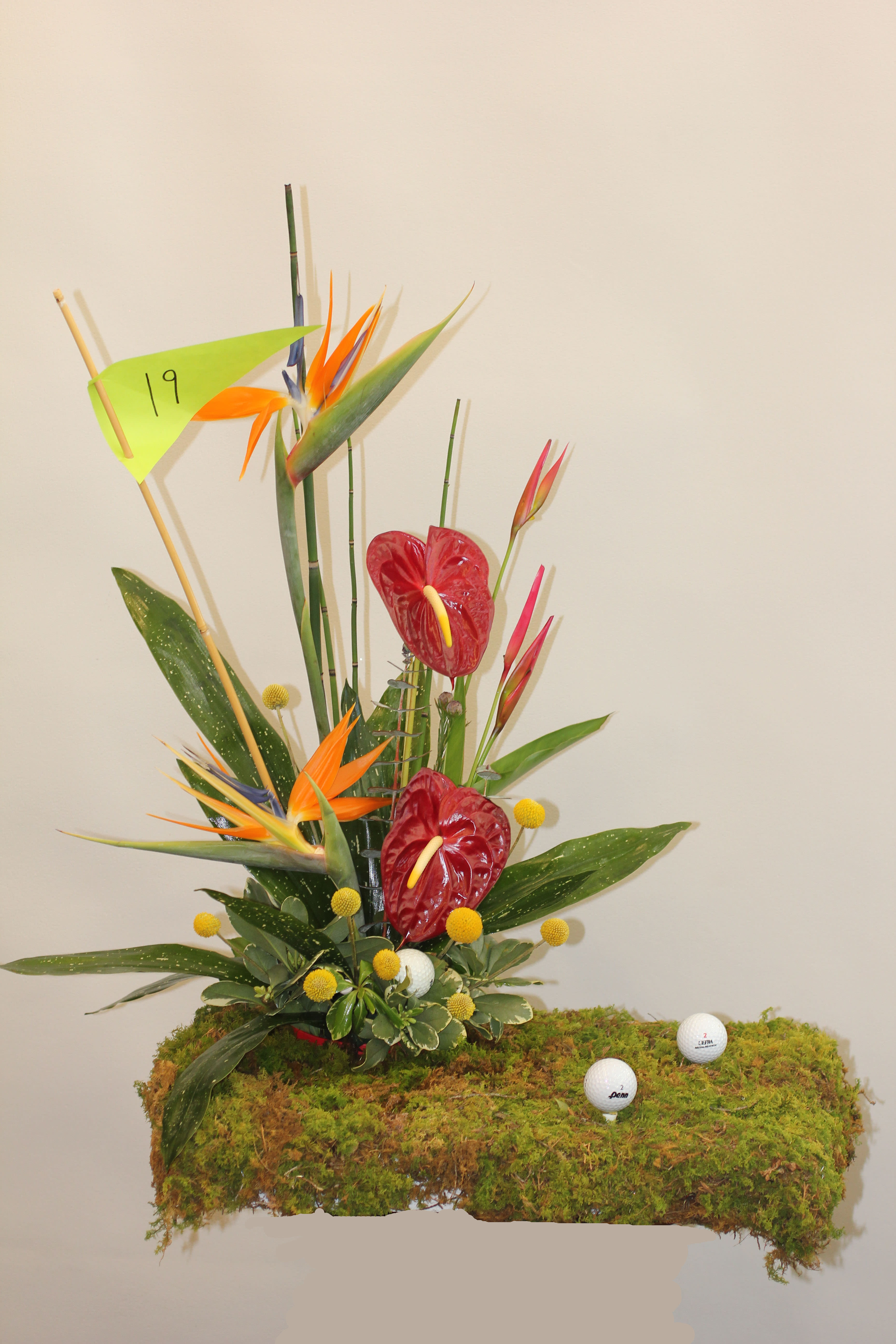 19 Hole Golf  EBF-735