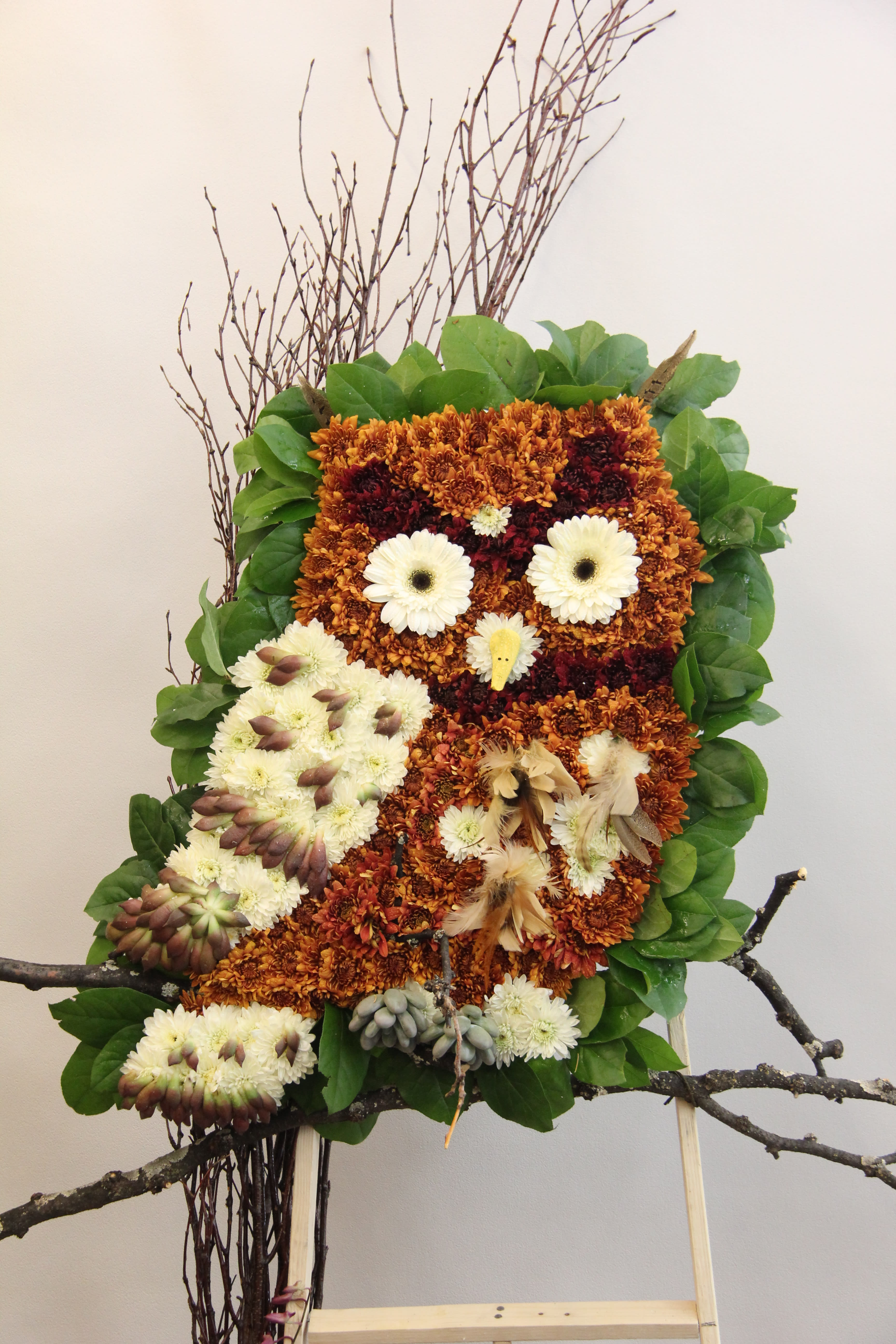 Scholarly Owl EBF-727