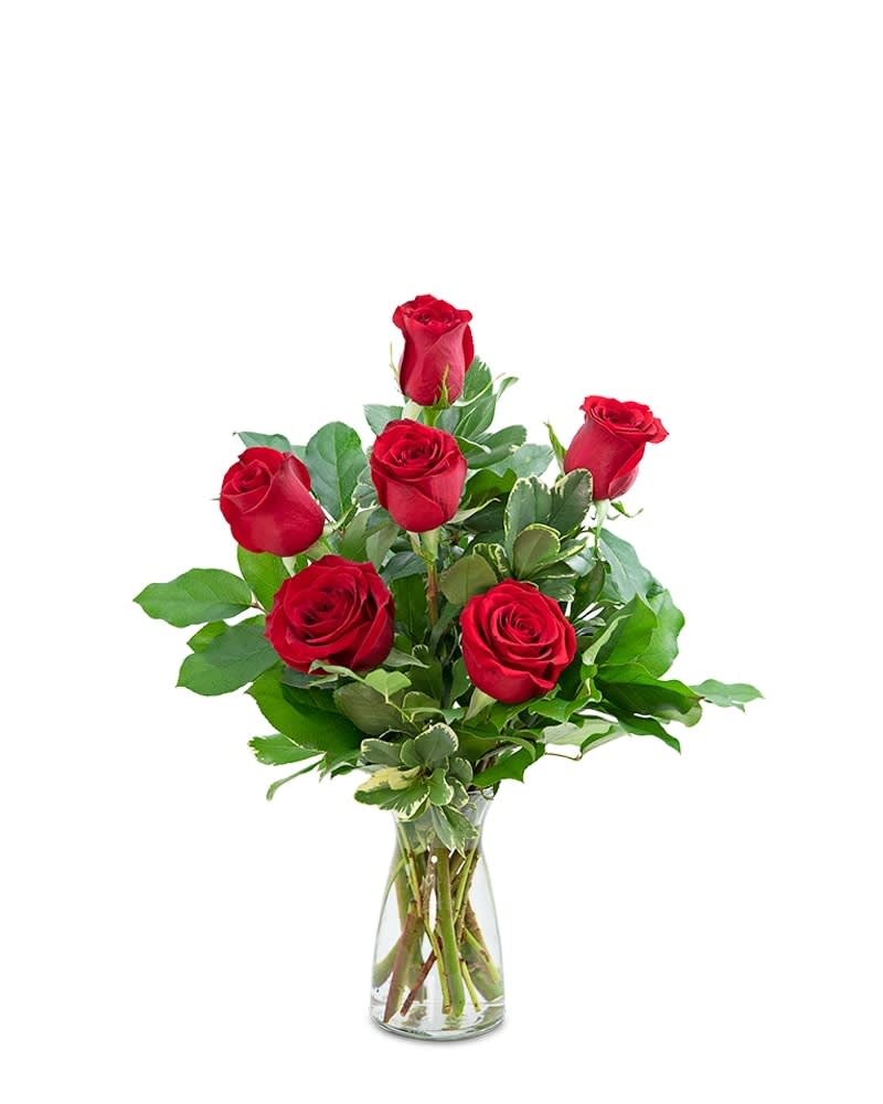 Red Roses (6) Flower Bouquet