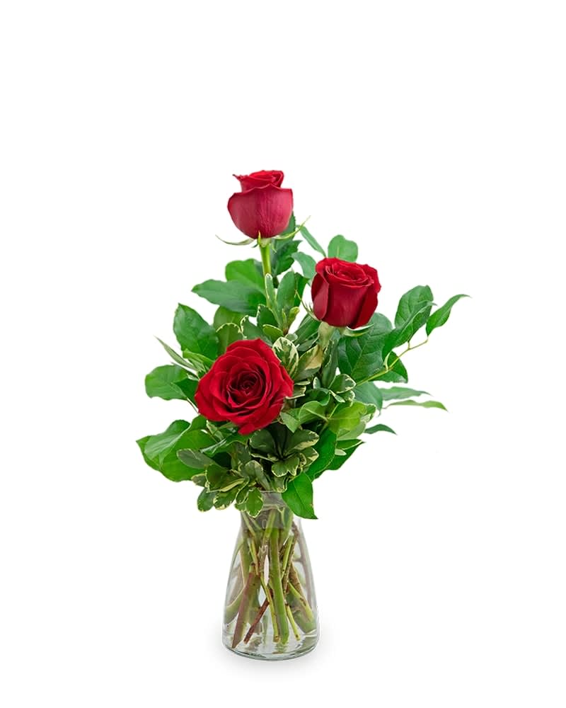 Red Roses (3) Flower Bouquet