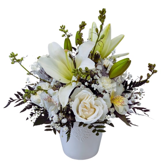 Soft Whispers IF-5011