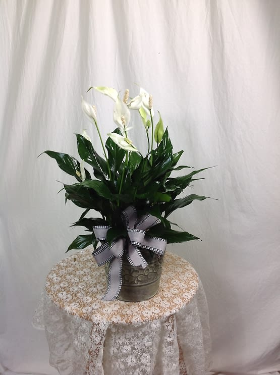 silver container with spath Flower Bouquet