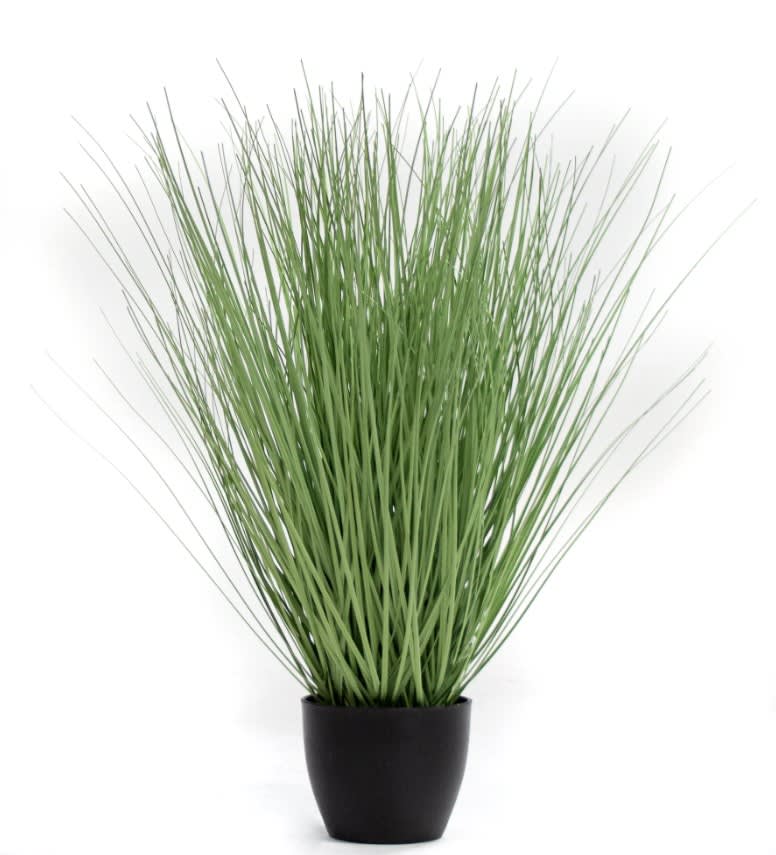 P1540R - 4' PTD RIVER GRASS RED GREEN Flower Bouquet