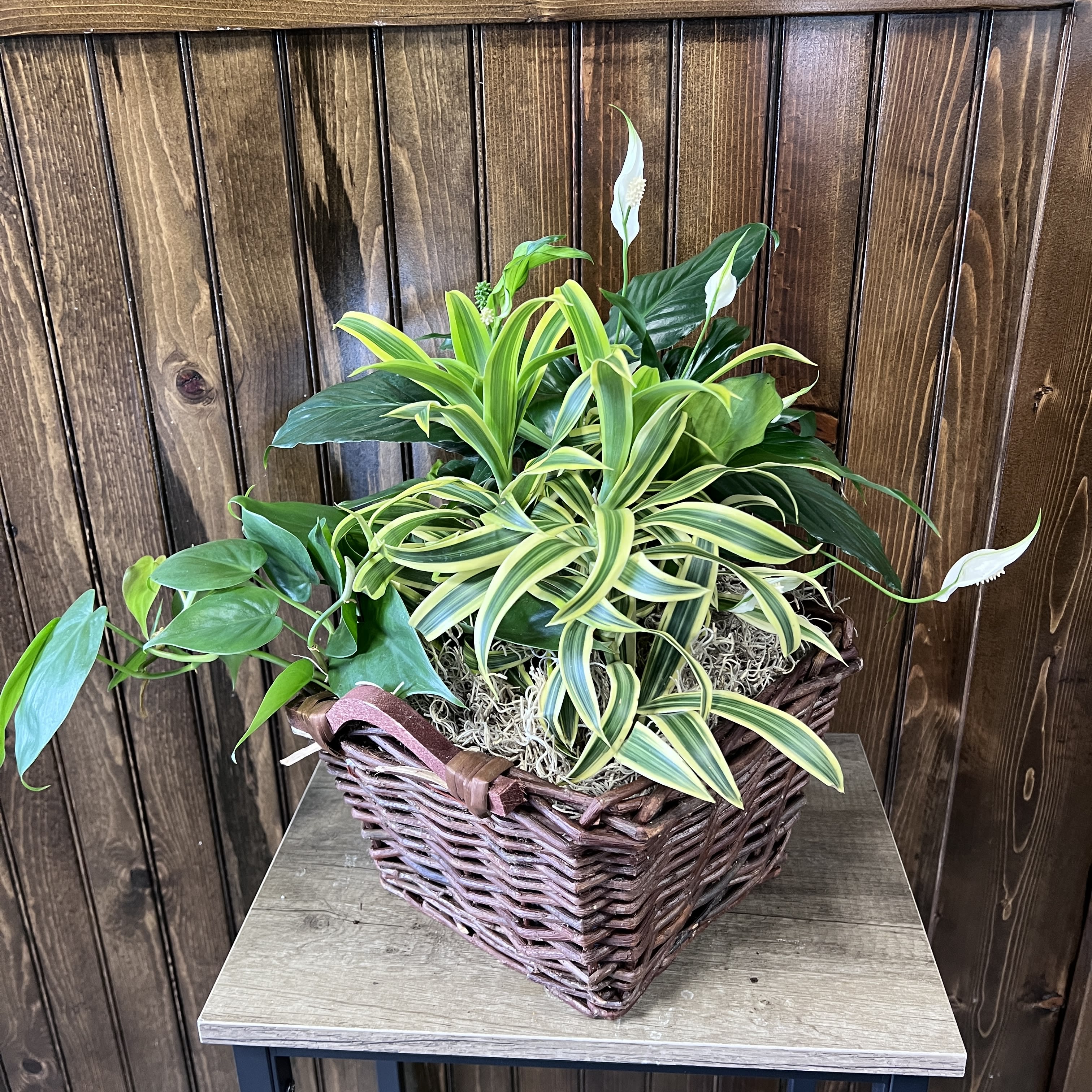 Thinking of You Plant Basket