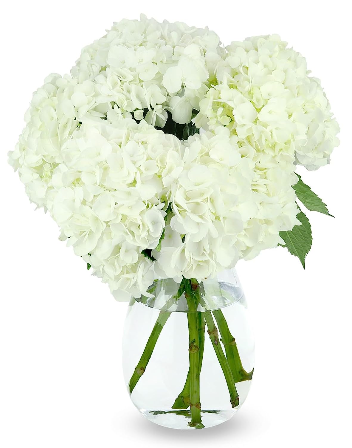 The Everyday Bouquet Flower Delivery Jersey City NJ FlowerNOW