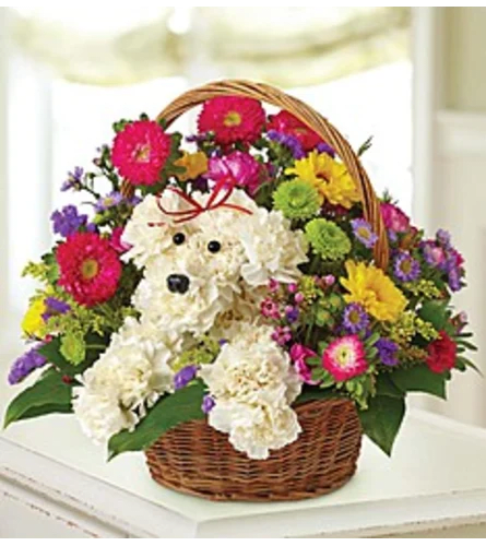 EVERY DAY DOGGIE BASKET Flower Bouquet