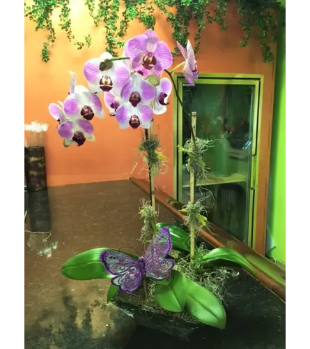 BUTTERFLY & ORCHID Flower Bouquet
