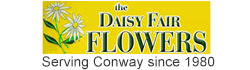 The Daisy Fair Flowers
