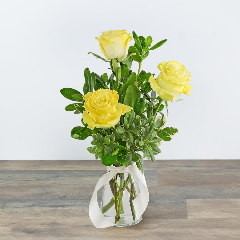 Three Yellow Roses