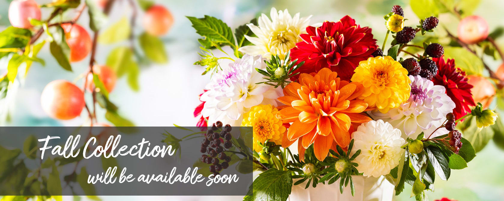 Stem to Petals Flower & Gift Studio Flower Arrangements, Flower