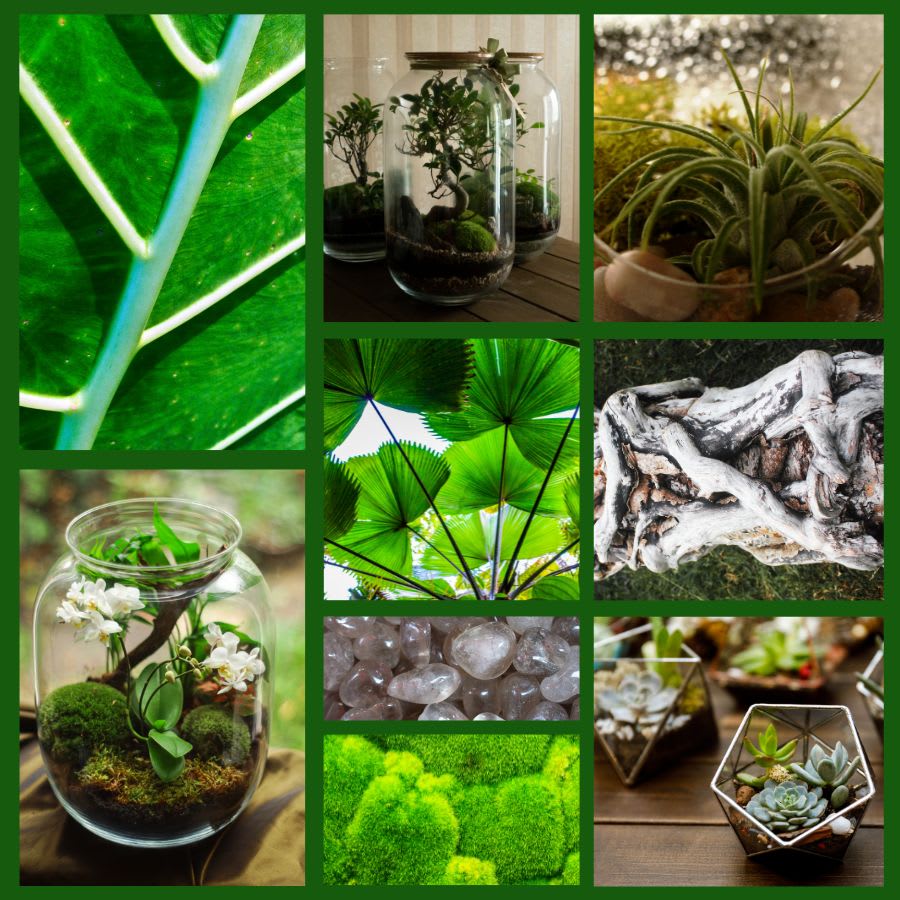 Terrariums - Plants & Botanicals Flower Bouquet