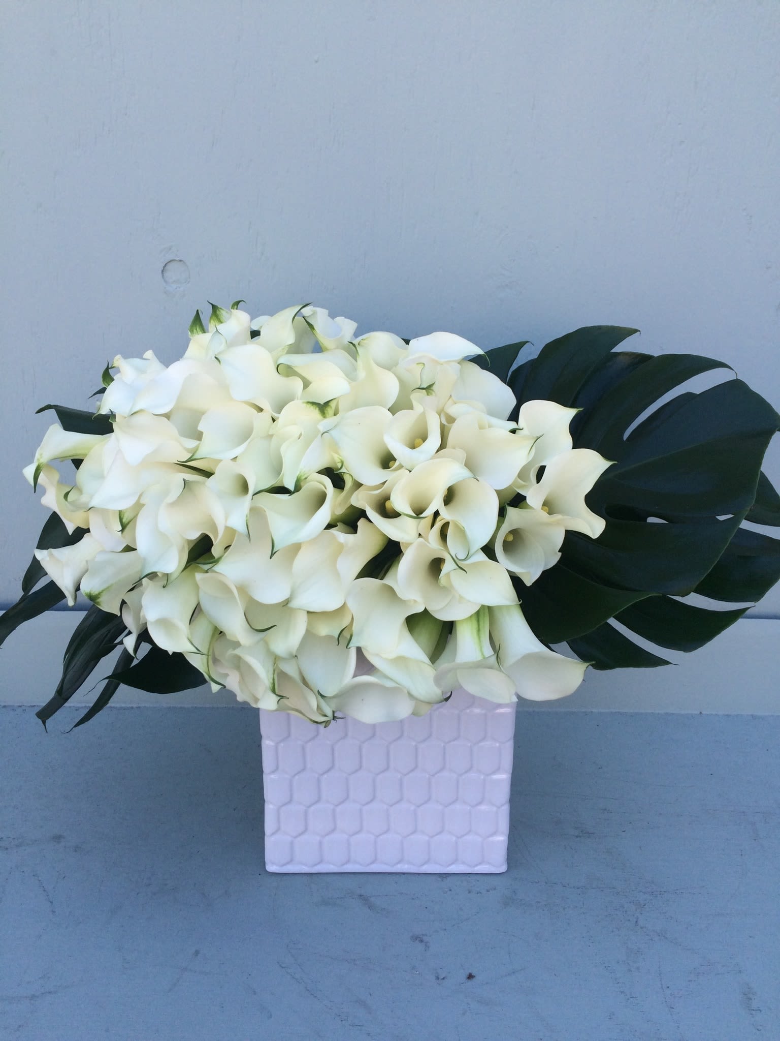 calla mini white