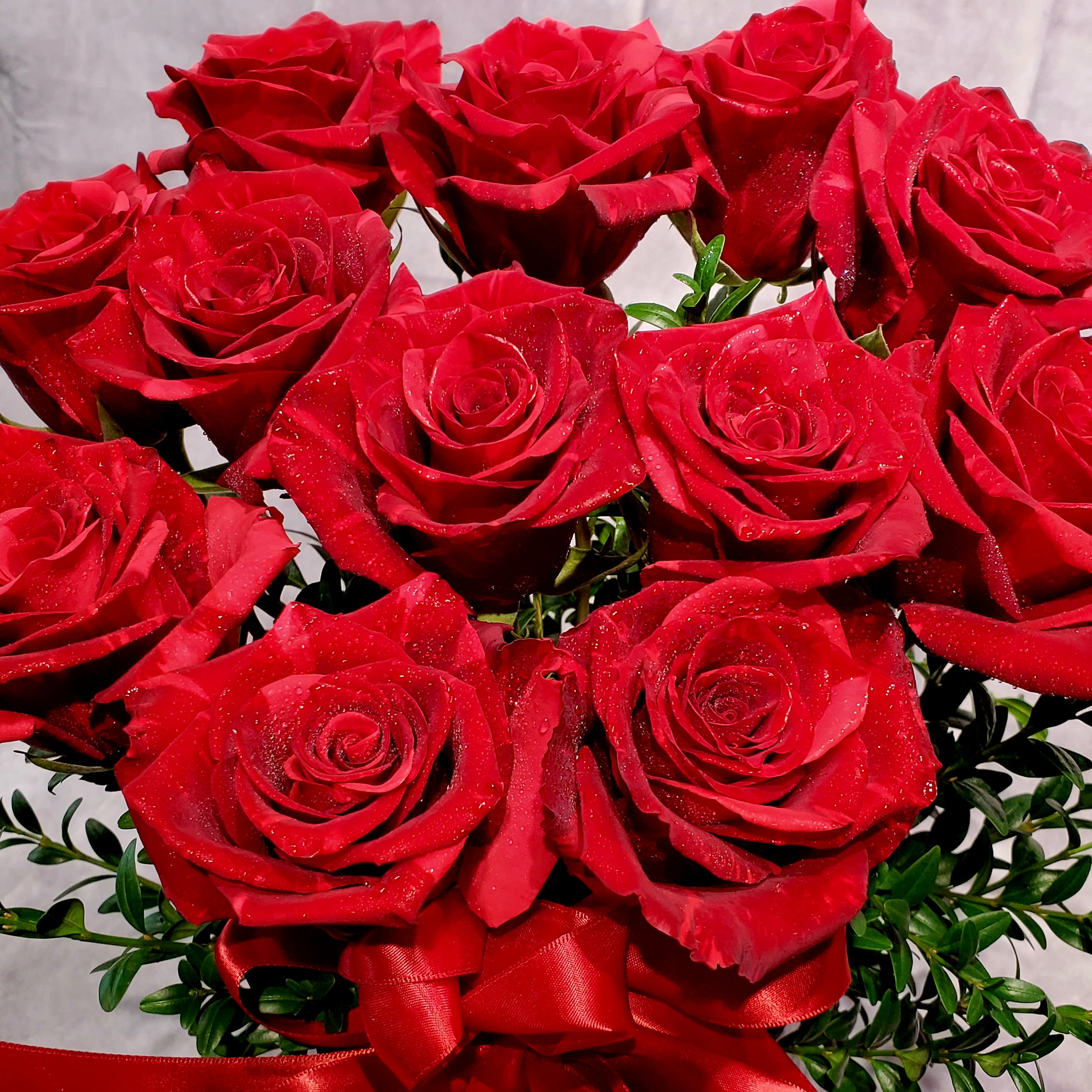 Dozen Red Roses Vased
