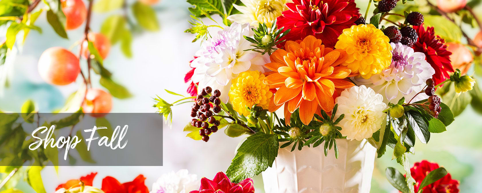 Ottawa ON Florist FREE Flower Delivery in Ottawa ON by Alta Vista Flowers