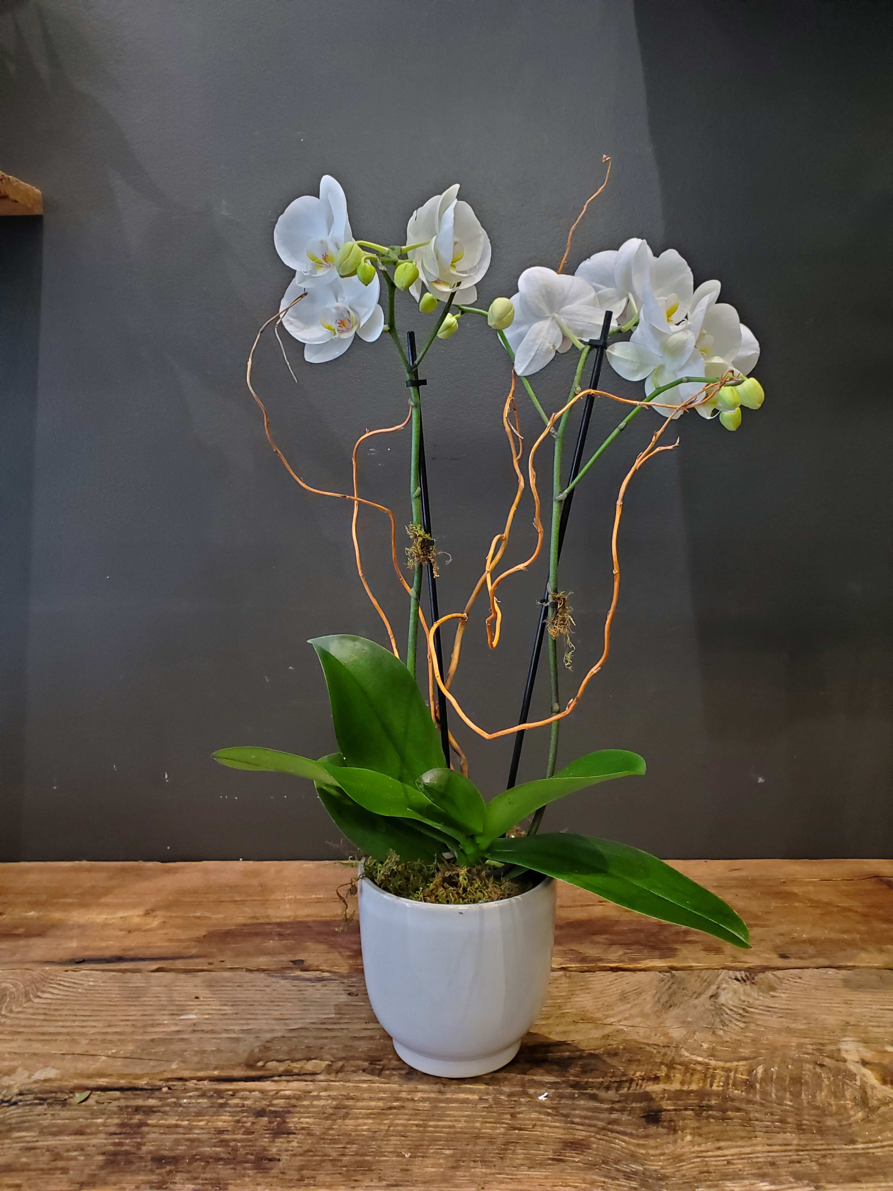 Birthday Flower Delivery Chapel Hill NC Chapel Hill Florist