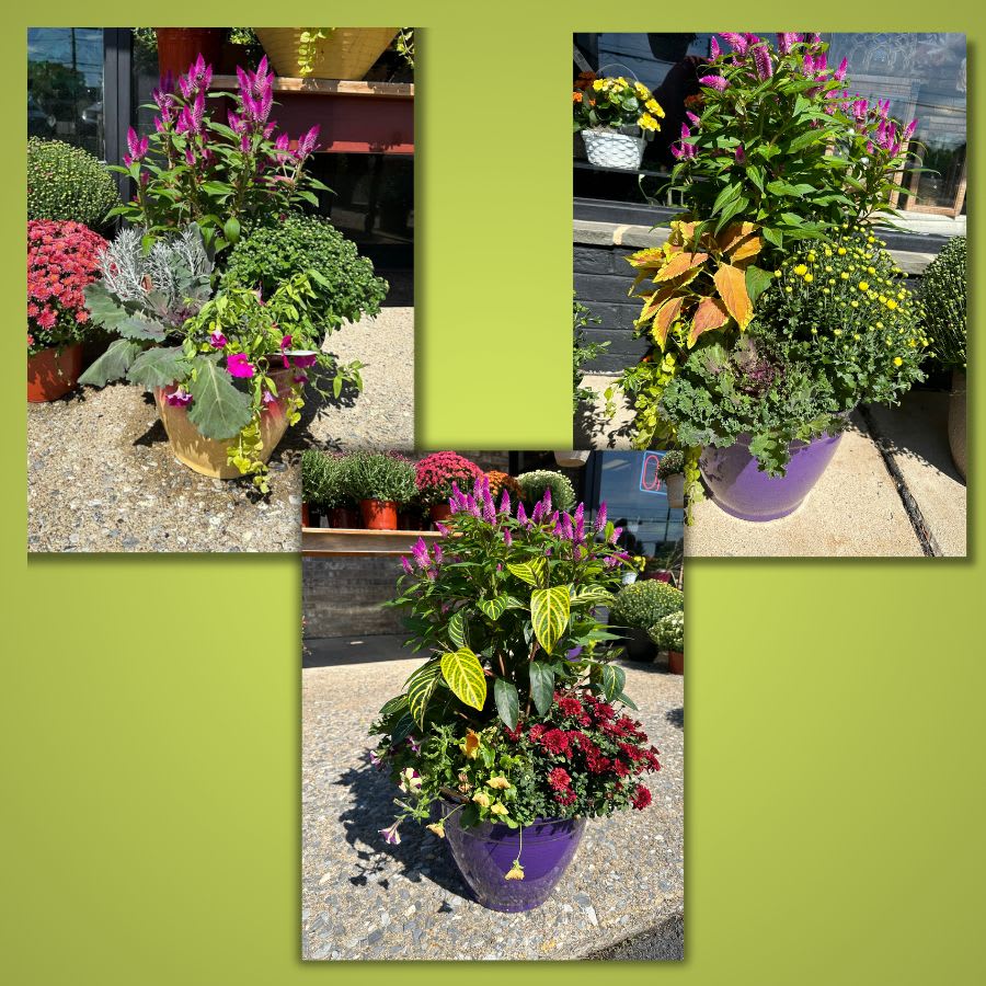Autumn Deck Planters Flower Bouquet