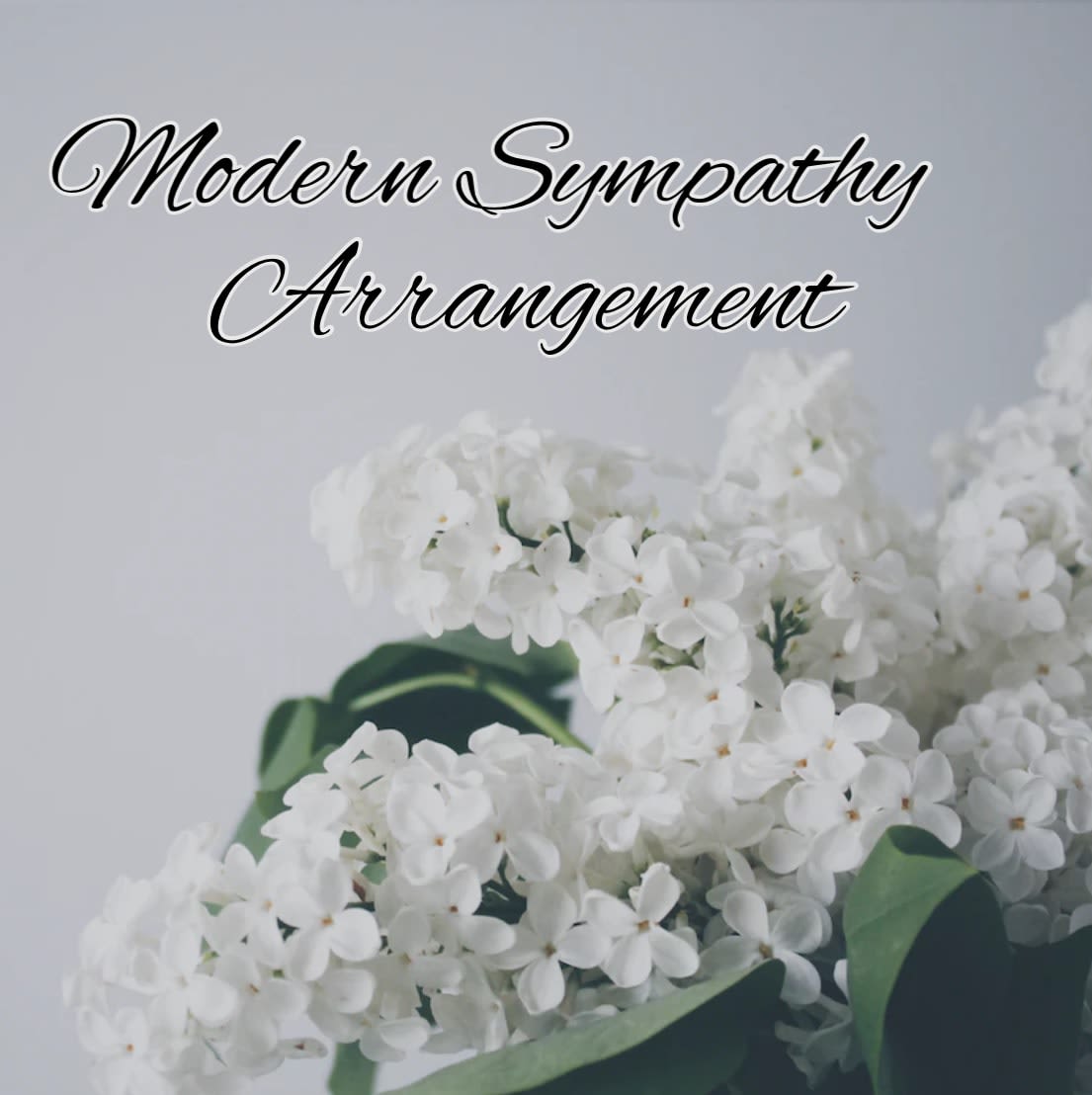 Modern Sympathy Design