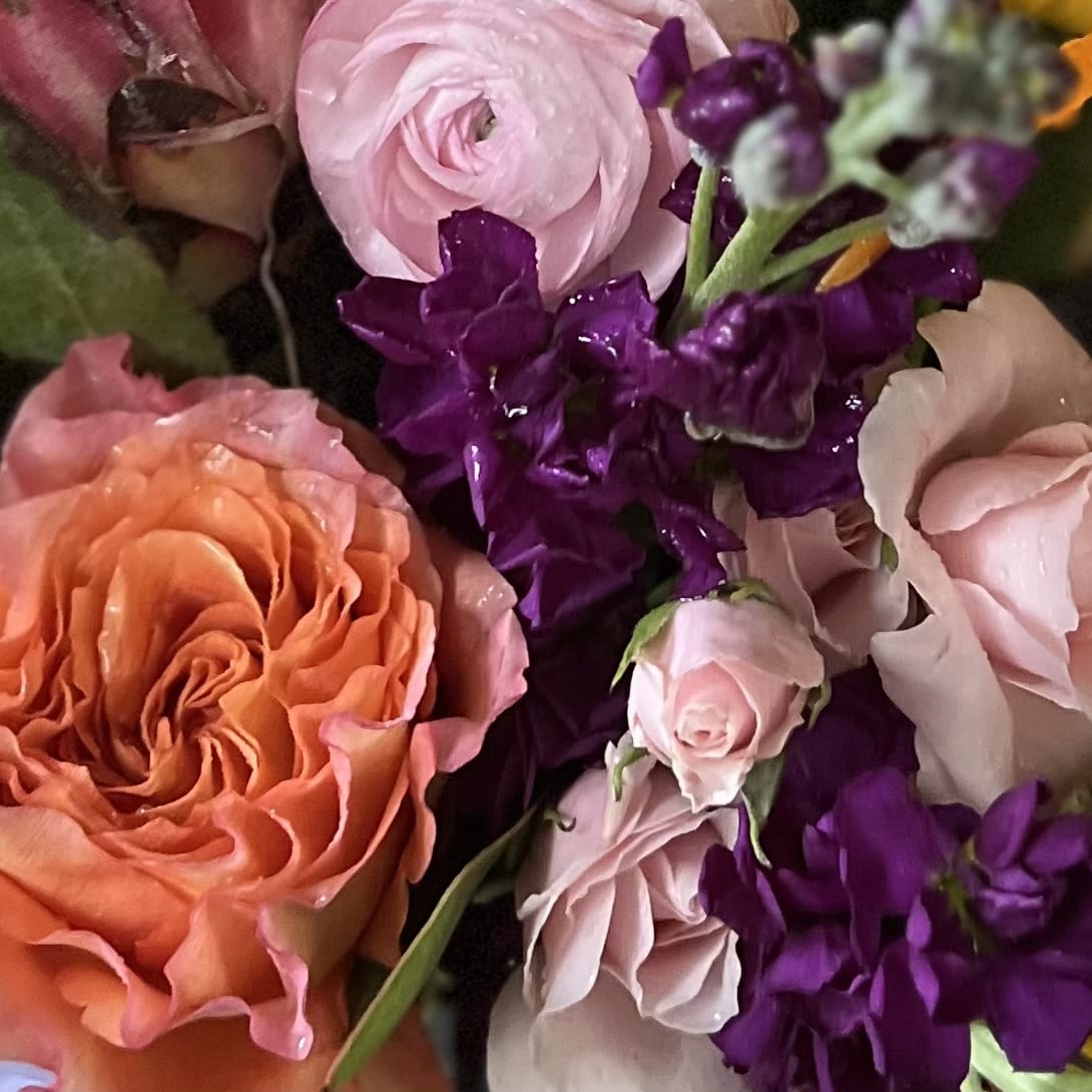 Designer's choice premium