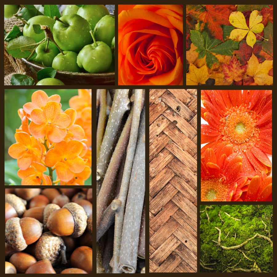 "Battle Ground Autumn" - Designer's CHoice