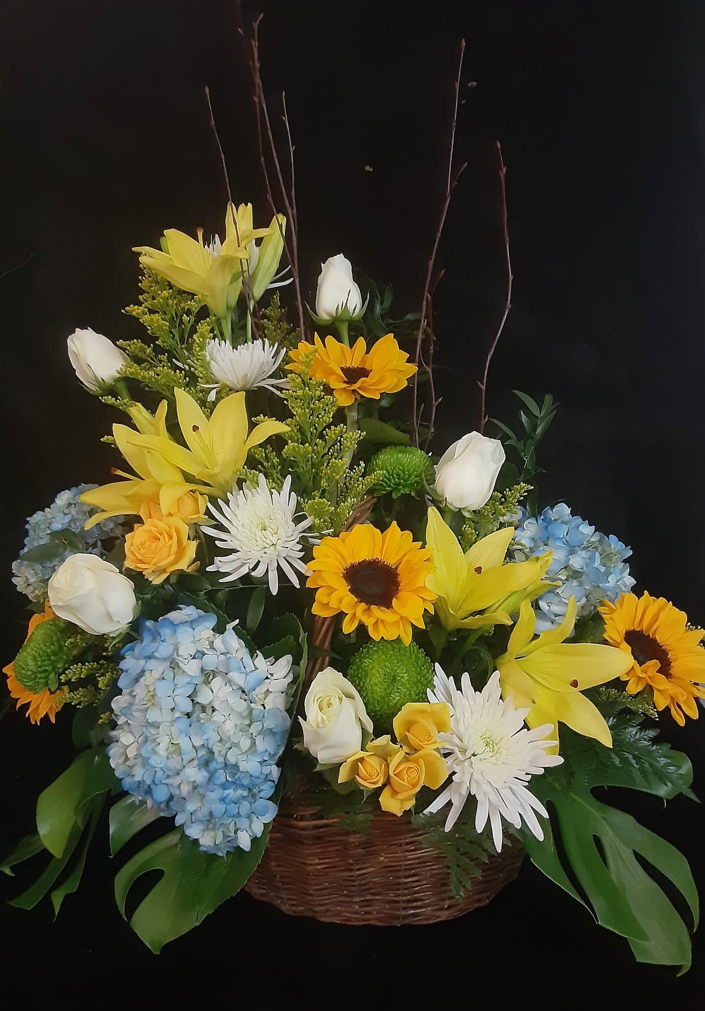 Sunshine and Blue Skies