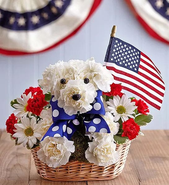 Yankee Doodle Doggie Flower Bouquet