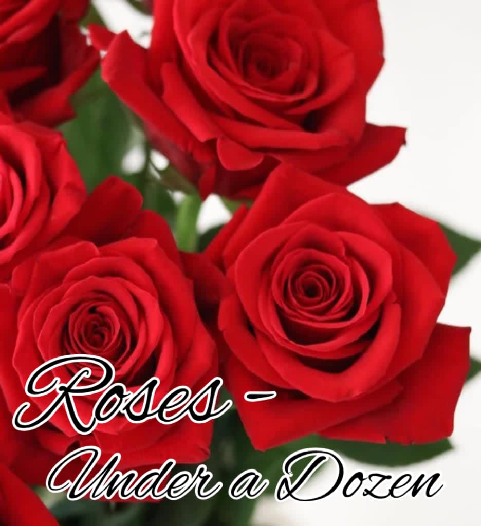 Roses - Under a Dozen