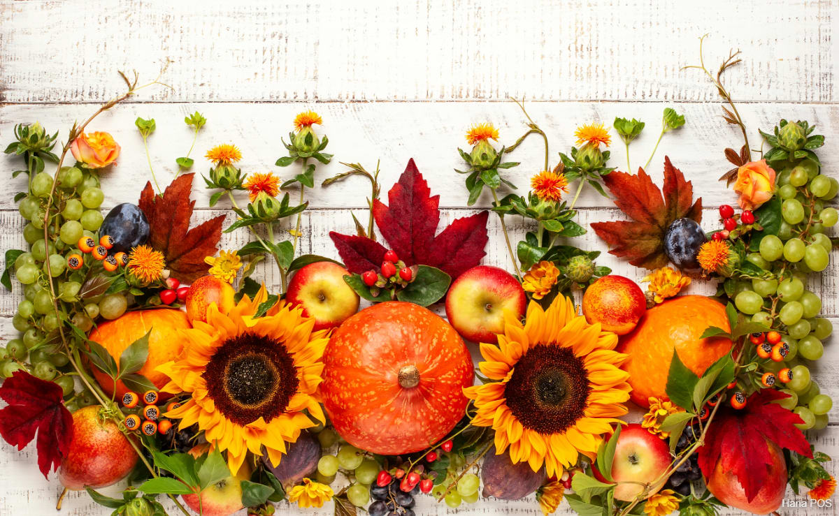 Fall Collection