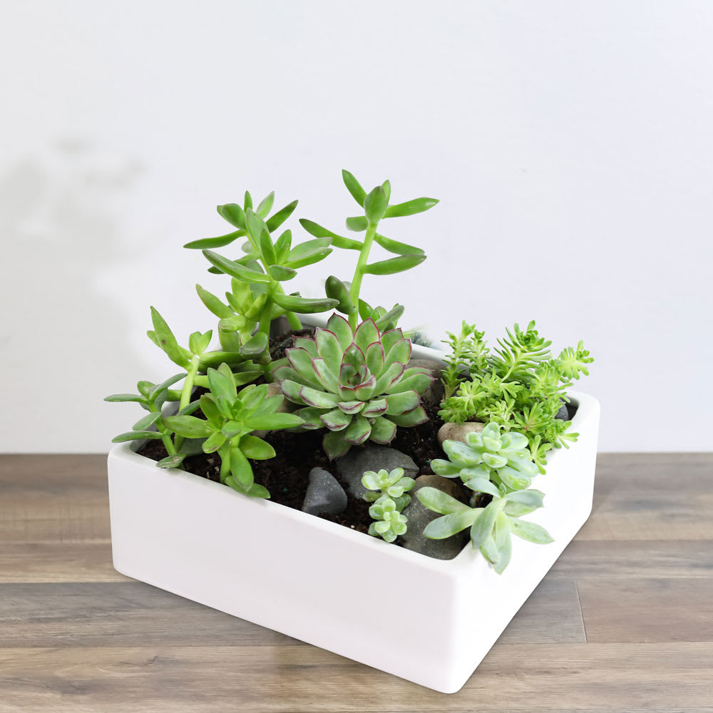 Succulent Garden Flower Bouquet