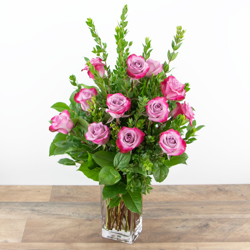 Vibrant Lavender Roses (12)