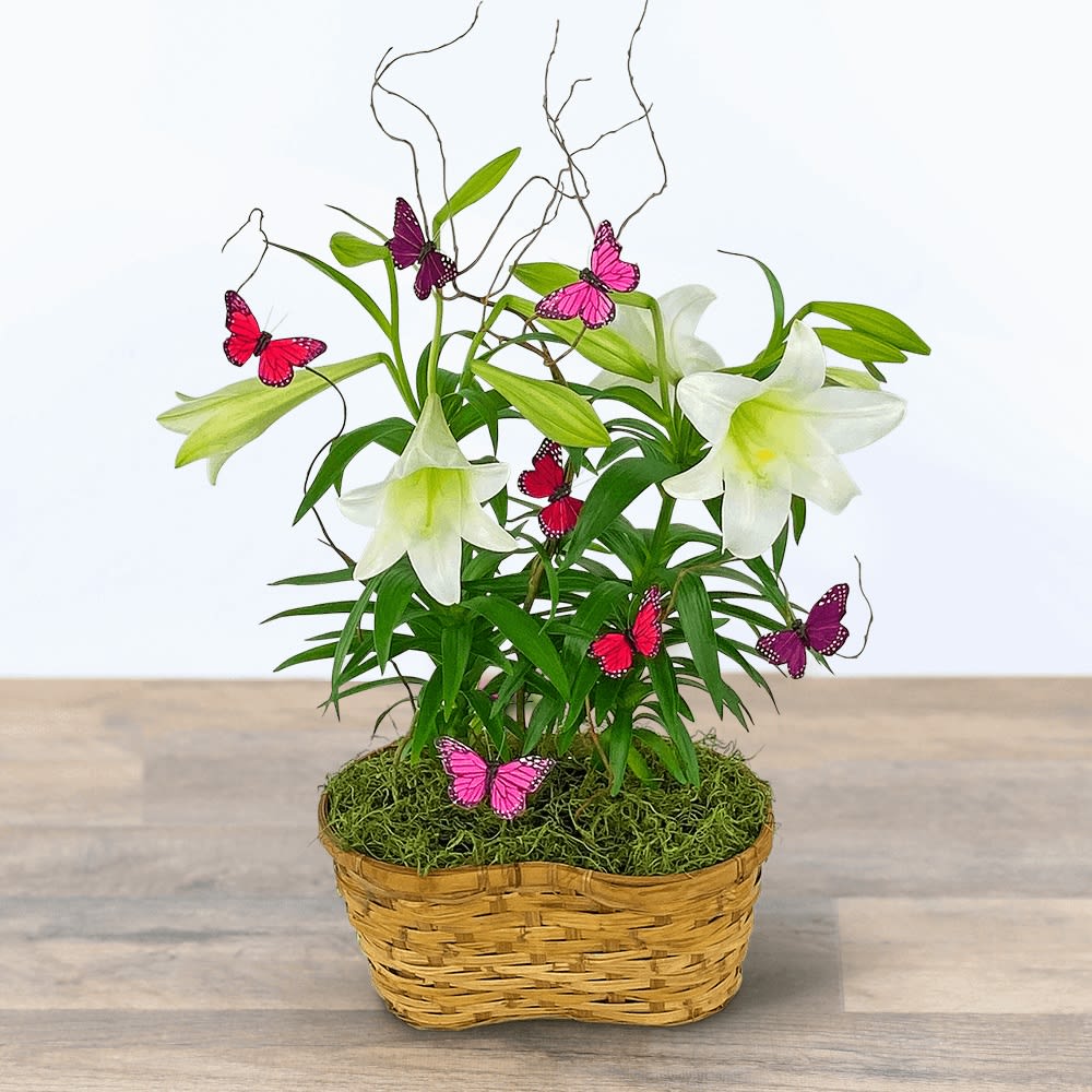 Easter Lilies in Spring Basket Flower Bouquet