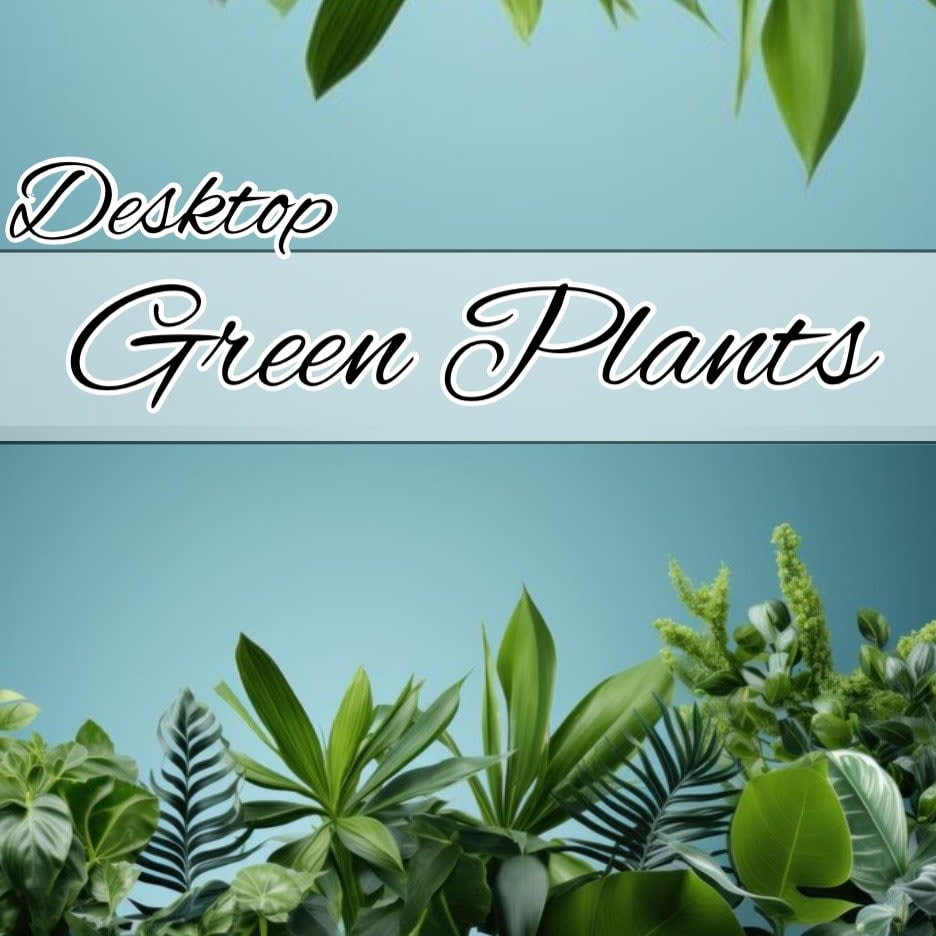 Flowers Tulsa OK Flower Shop in Tulsa OK Mrs. DeHaven's Flower Shop