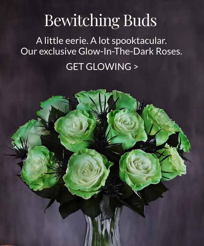 Glow In The Dark Roses