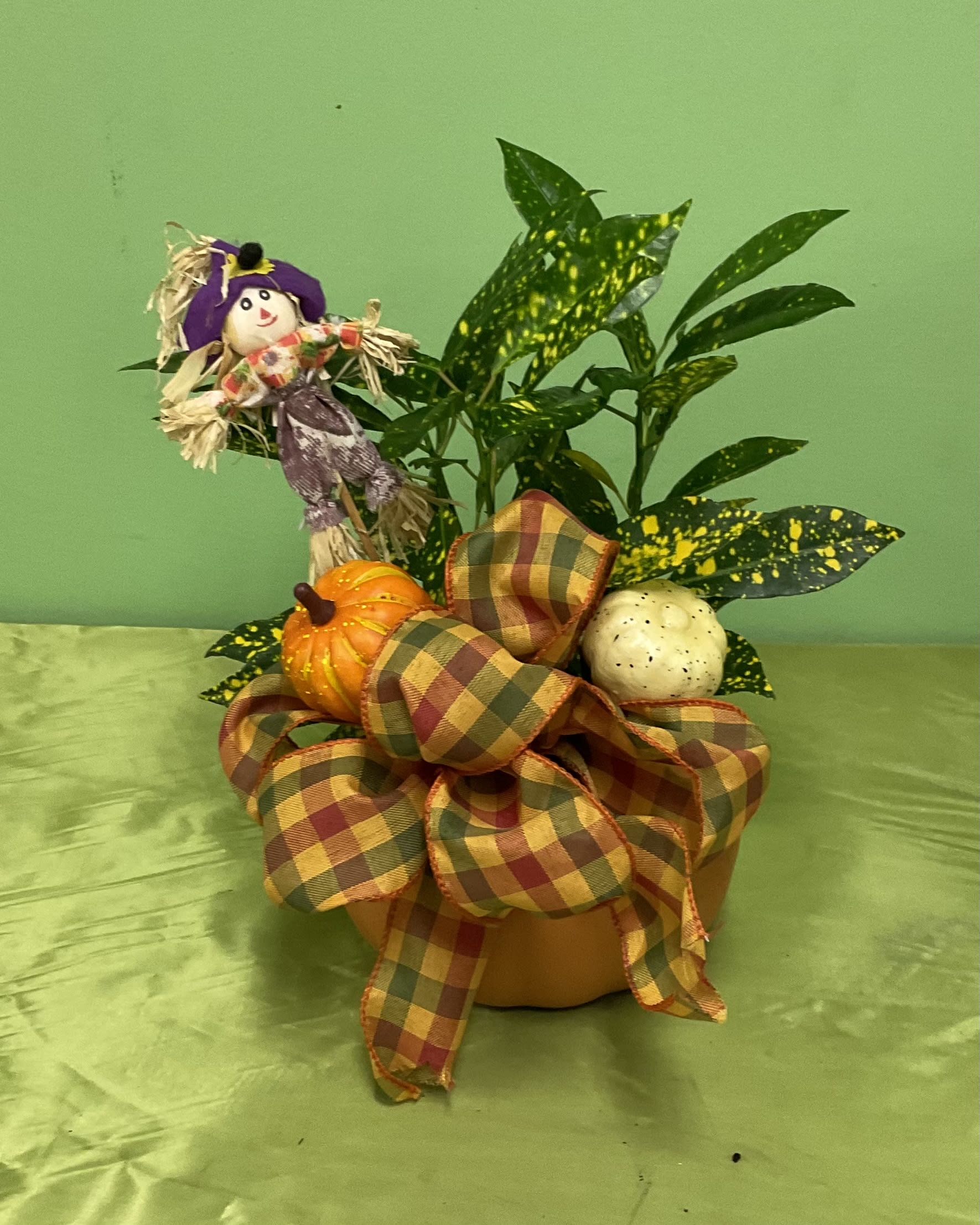 Orange Pumpkin with Plant