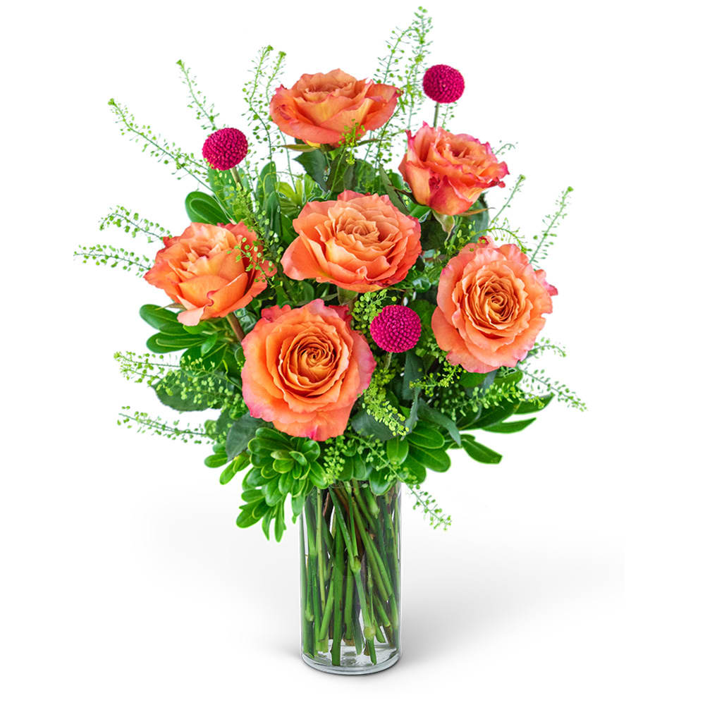 Half Dozen Wild and Free Spirit Roses Flower Bouquet
