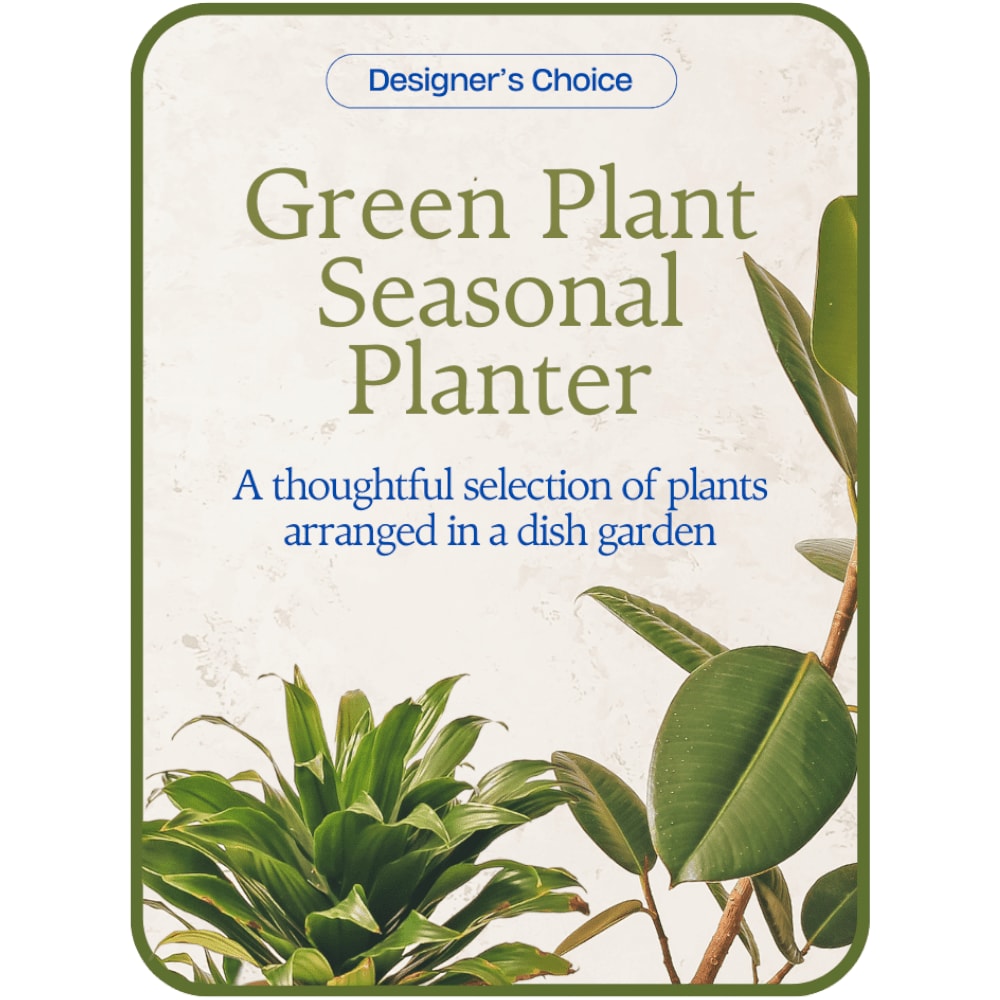 Designer's Choice - Variety of Green Plants in a Basket Flower Bouquet