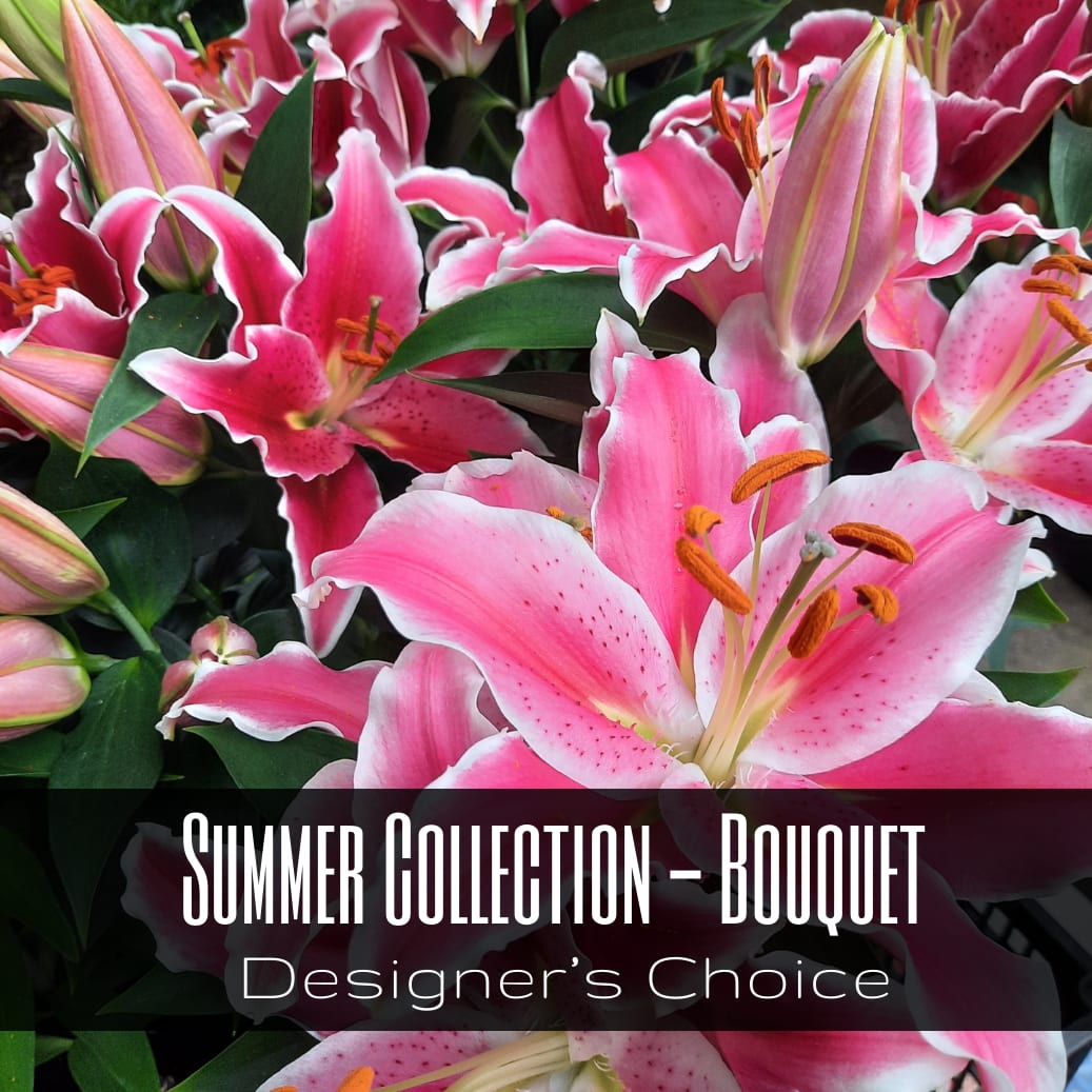 Summer Collection - Designer's Choice
