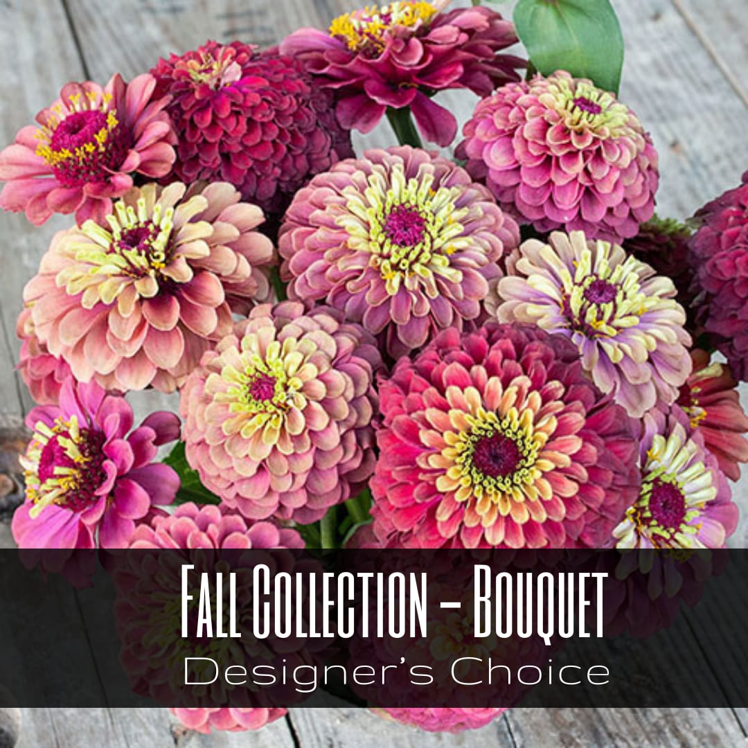 Fall Collection - Designer's Choice