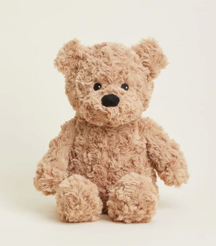 Small Teddy Bear