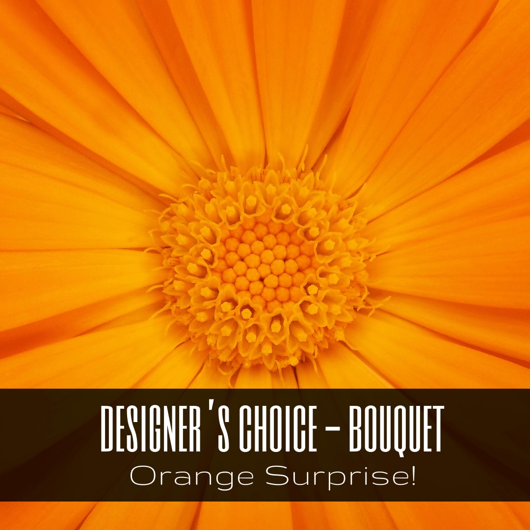 Orange Surprise - Designer's Choice