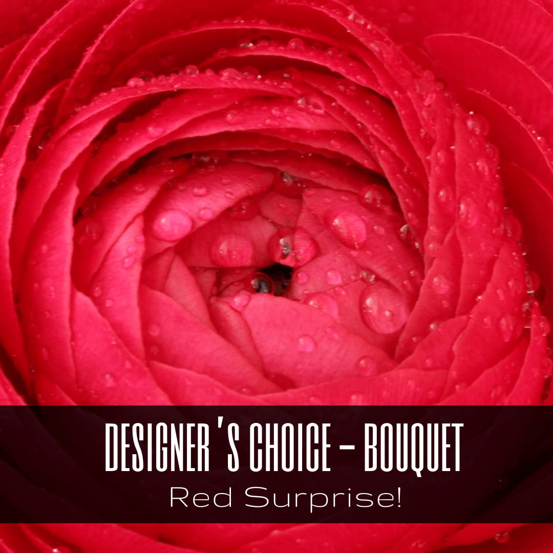 Red Surprise! - Designer's Choice