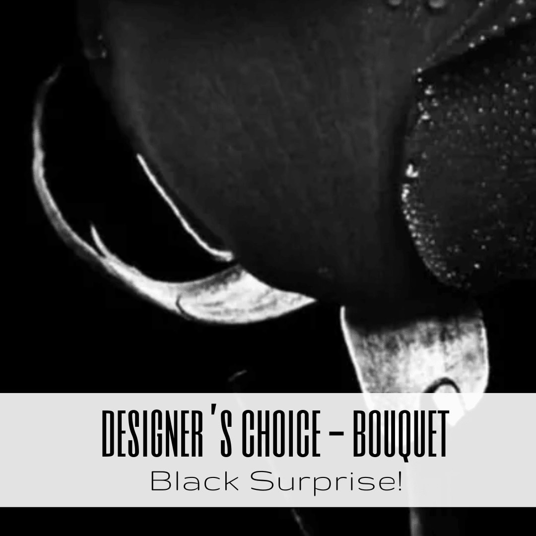 Black Surprise - Designer's Choice