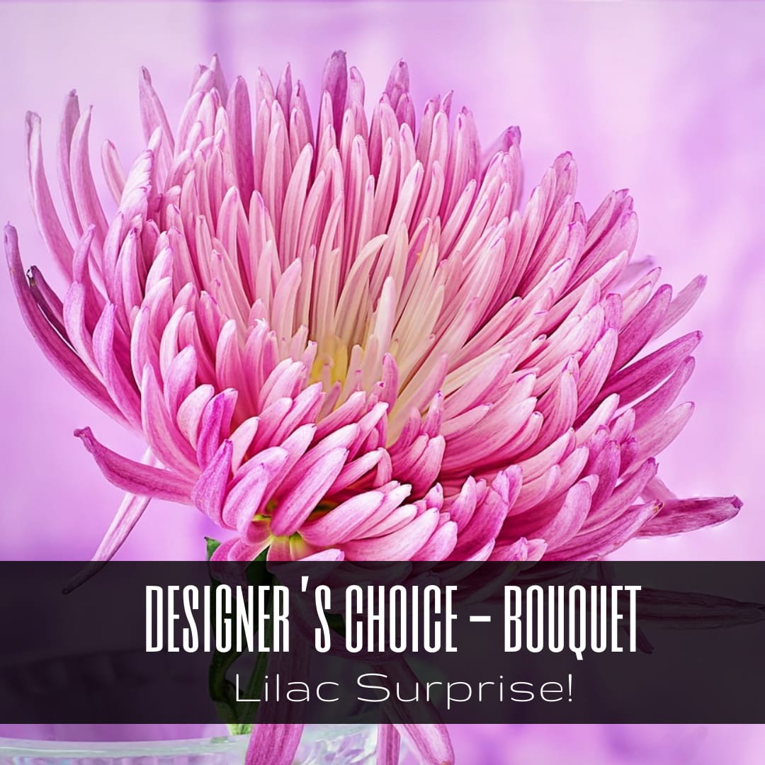 Lilac Surprise - Designer's Choice