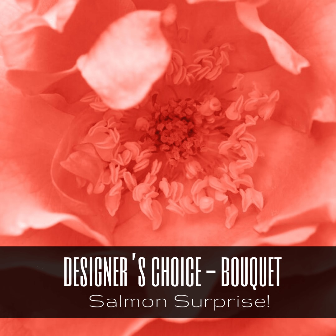 Salmon Surprise! - Designer's Choice